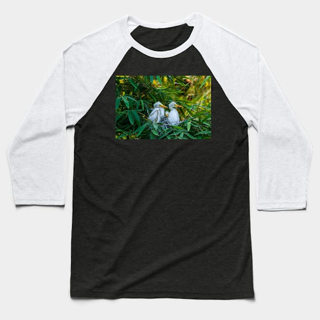 Three Great White Egret Chicks on the Nest. Cute baby birds photography. Baseball T-Shirt by kstanvir